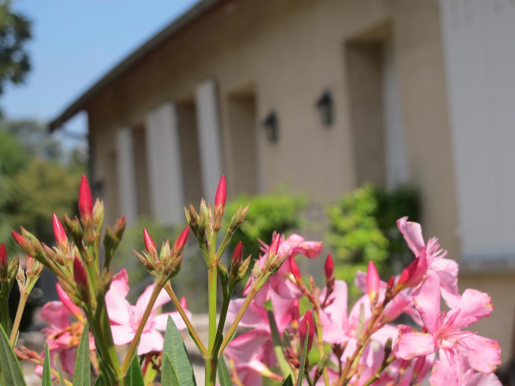 Les Communs Du Manoir Lägenhet Écully Rum bild