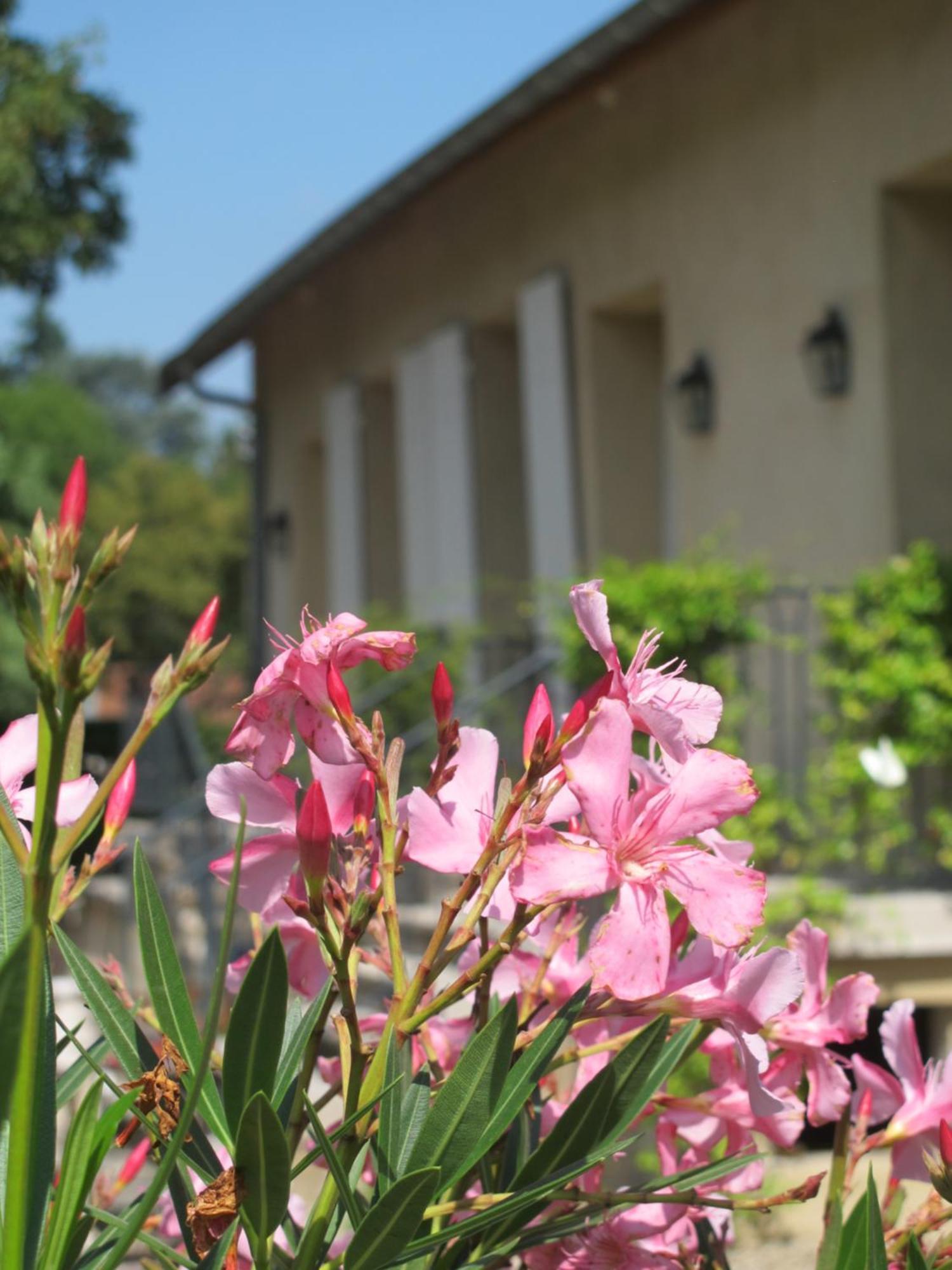 Les Communs Du Manoir Lägenhet Écully Rum bild