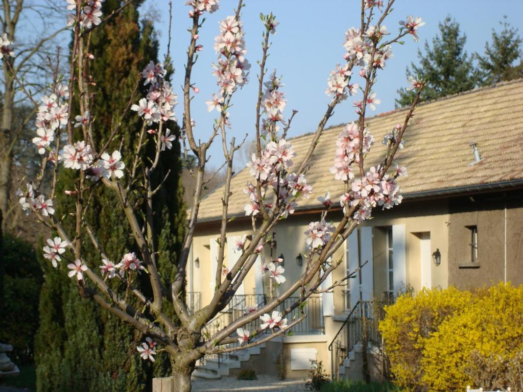 Les Communs Du Manoir Lägenhet Écully Exteriör bild