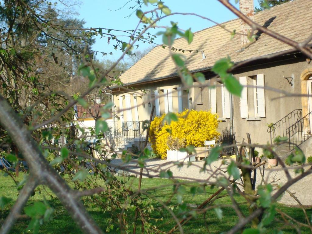 Les Communs Du Manoir Lägenhet Écully Exteriör bild