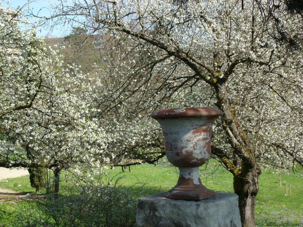 Les Communs Du Manoir Lägenhet Écully Exteriör bild