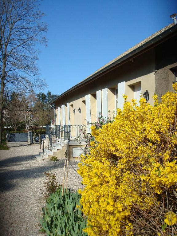 Les Communs Du Manoir Lägenhet Écully Exteriör bild