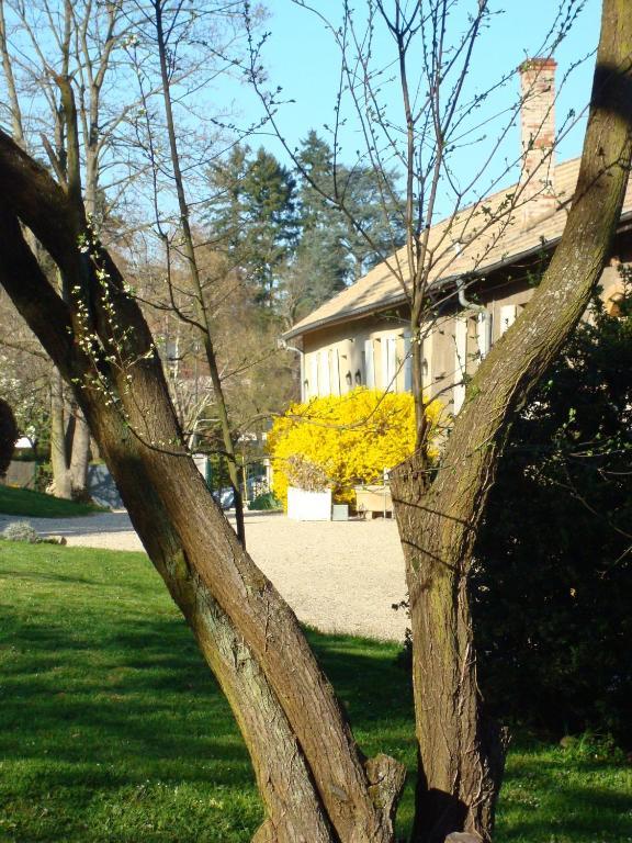 Les Communs Du Manoir Lägenhet Écully Exteriör bild